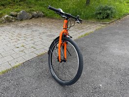 Naloo Chameleon 24 Zoll