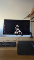 ASUS ROG Strix OLED XG27ACDNG 2560 x 1440 Pixel, 26.50"