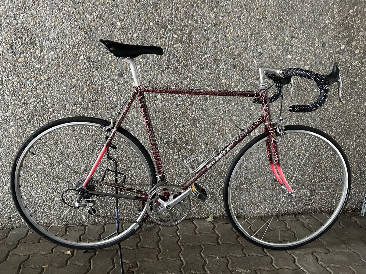 Mondia Biciclette: Mondia Professional Rennvelo – Usato da Adlikon b.Regensdf venduto da usado
