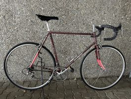 Mondia Professional Rennvelo