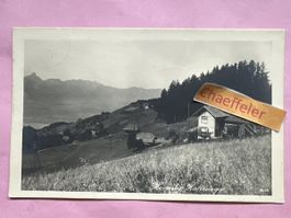 1921. Heimely Haltenegg