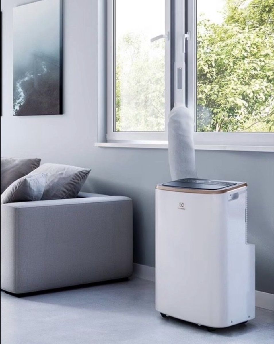Electrolux Climatiseurs: Electrolux Chill Flex Pro Gold – D'occasion à Küsnacht ZH par starsandmoons 2