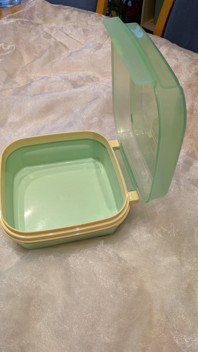 Tupperware Contenitori & Simili: Tupperware Behälter Frischhaltebehälter – Usato da Horw venduto da Rebuho 1