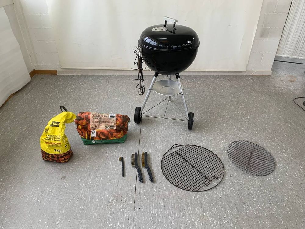 er Grill Palatine L 3288 Kaufen auf Ricardo