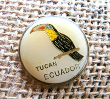 • Toucan Tukan Ecuador Vogel bird oiseau +Versand Pin M11A.4