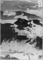 Flugaufnahme Oberholz-Wald - Skigebiet
