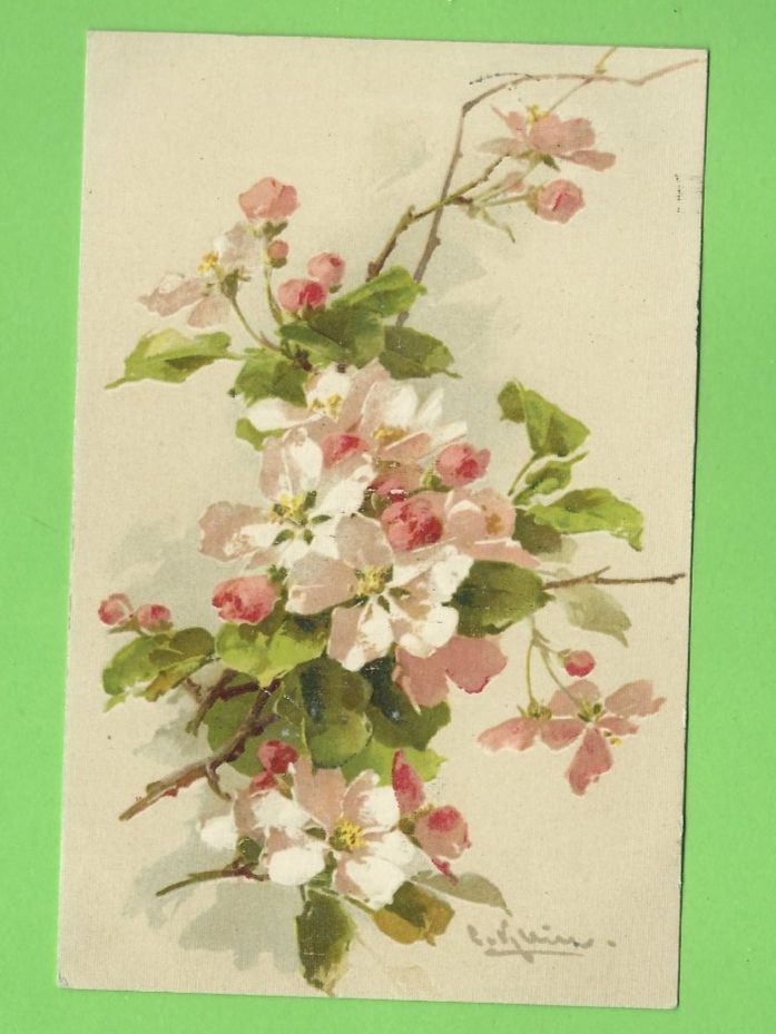 Cartoline postali: Antike Ansichtskarte Apfelblüte 1913 – Usato da Zürich venduto da t24_de