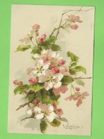 Antike Ansichtskarte Apfelblüte 1913