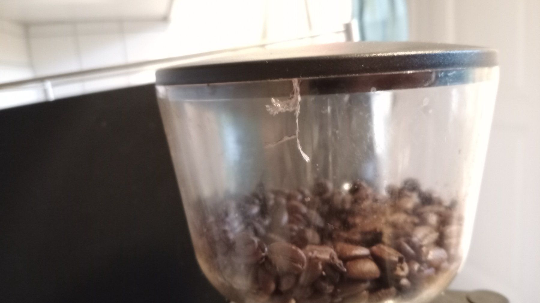 Profitec Macchine per caffè & Macchine per espresso: Profitec Mühle Pro M54 – Usato da Bern venduto da masgarro 3