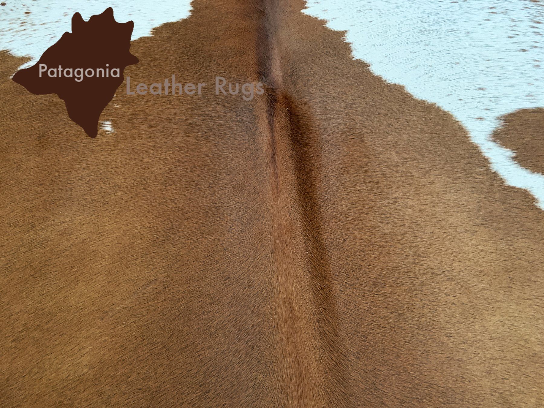 Tappeti: echtes Kuhfell Teppich Brown/White – Nuovo e nell'imballaggio originale da Arbedo venduto da patagonialeatherrugs 1