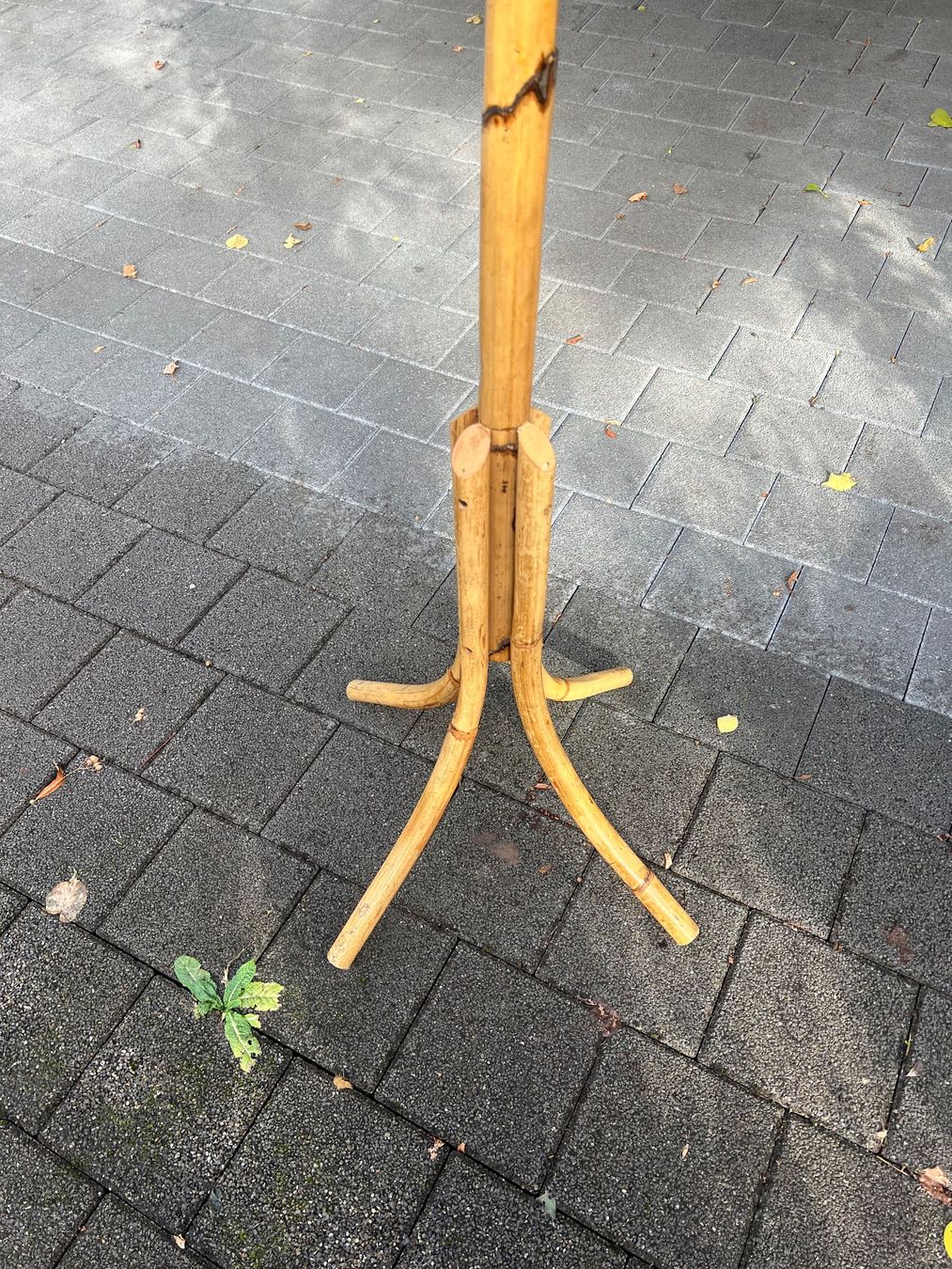 Guardaroba: Vintage Kleiderständer / Rattan Parrot – Usato da Aarburg venduto da Annemarie16 5