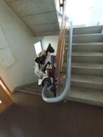 Treppenlift Strack mit Sitz funktionstüchtig 
