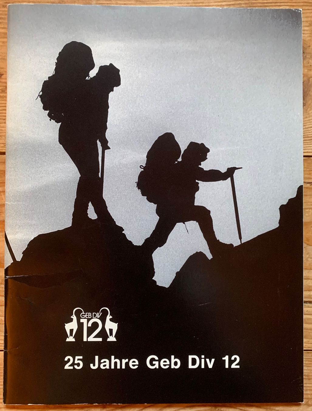 Libri: Büchlein 25 Jahre Geb Div 12 – Usato da Goldingen venduto da Bergler012
