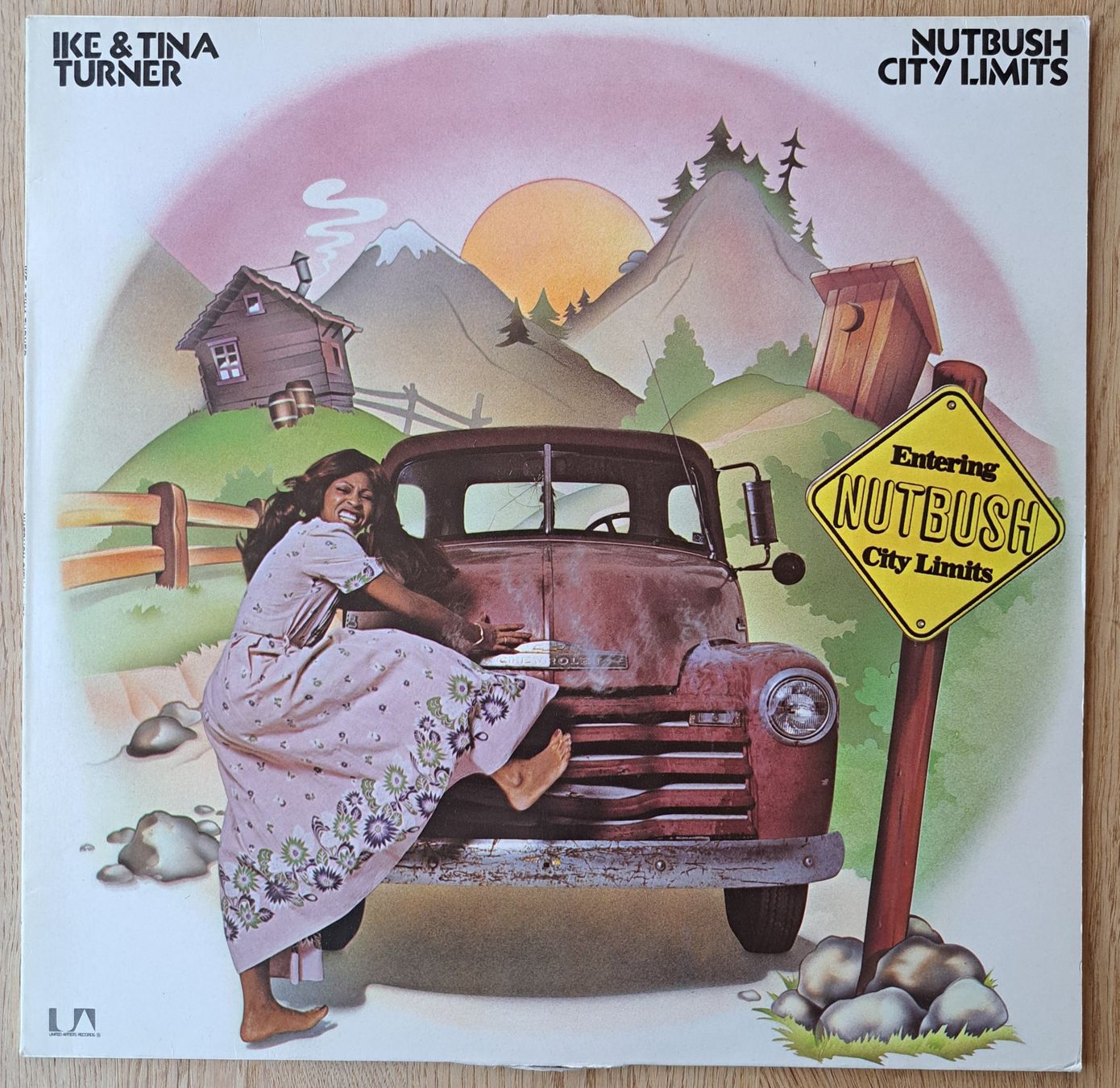 Dischi in vinile: Ike & Tina Turner - Nutbush City Limits – Usato da Meggen venduto da Ricardokoch