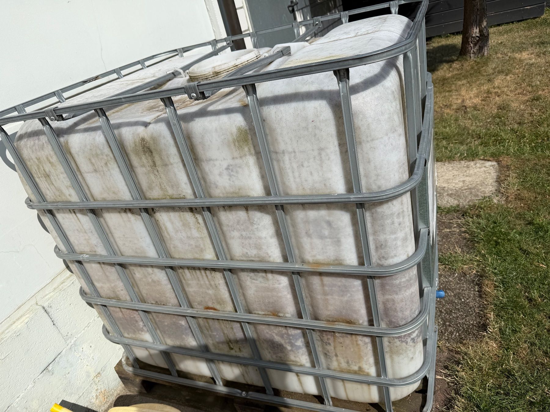 Abbeveratoi e trogoli: IBC IBC Tank, Wassertank 1000 Liter. – Usato da Balsthal venduto da IrenZimkeit 1