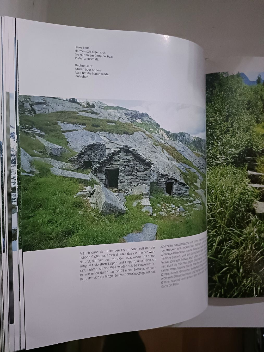 Libri: 4 Bergbücher A4 über Tessiner Berge – Usato da Mesocco venduto da andergia 1