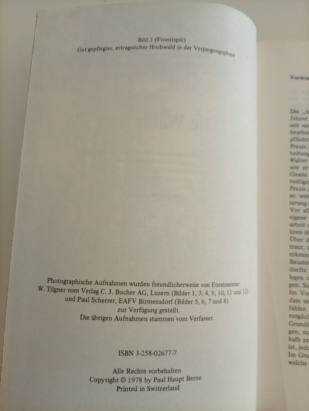 Libri: Hans Leibundgut, Die Waldpflege, 1978 – Usato da Locarno venduto da edn.vintage 2