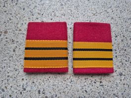 Gradabzeichen Patten Set Oberst Rettungstruppen