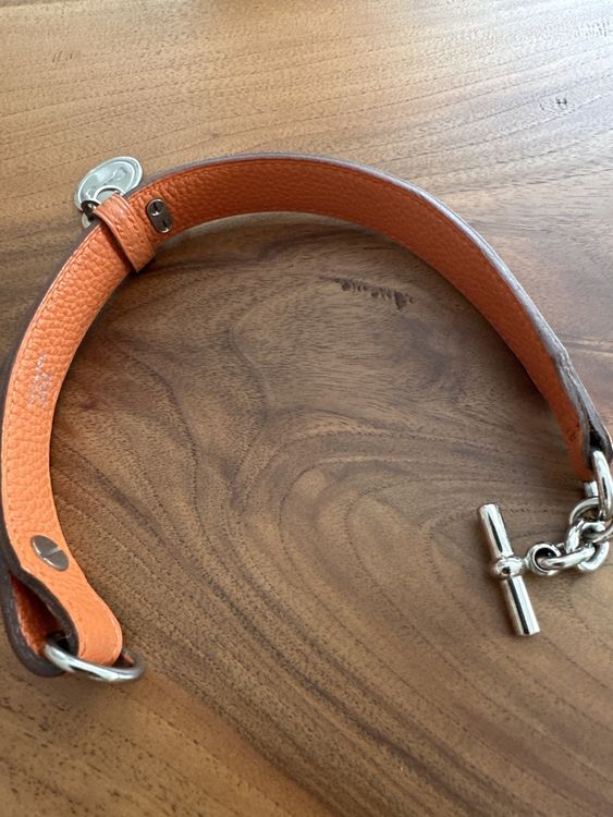 Hermes Hundehalsband mit Leine (Neu (gemss Beschreibung)) in S. Antonino  fr CHF 800  mit Lieferung auf Ricardo kaufen