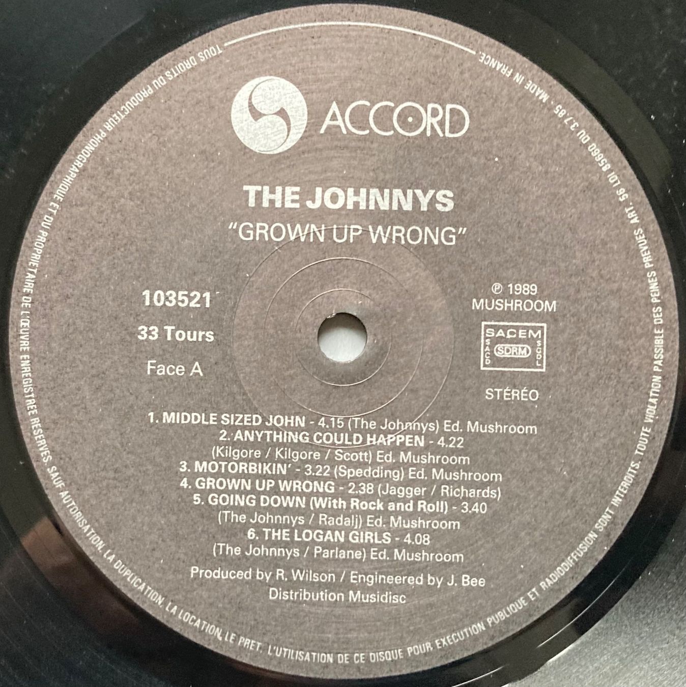 Dischi in vinile: THE JOHNNYS - GROWN UP WRONG – Usato da Poliez-Pittet venduto da Newtown-Records 3