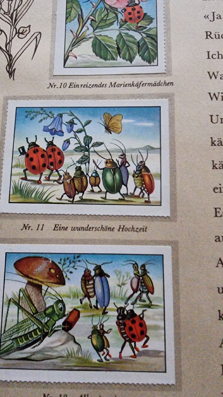 Bücher: Wunderschönes Antikes Tiermärchenbuch aus 1953 – Gebraucht aus Wigoltingen von Zuckerfee84 4
