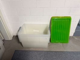 7 Stück Rotho Aufbewahrungsbox Compact 38 l