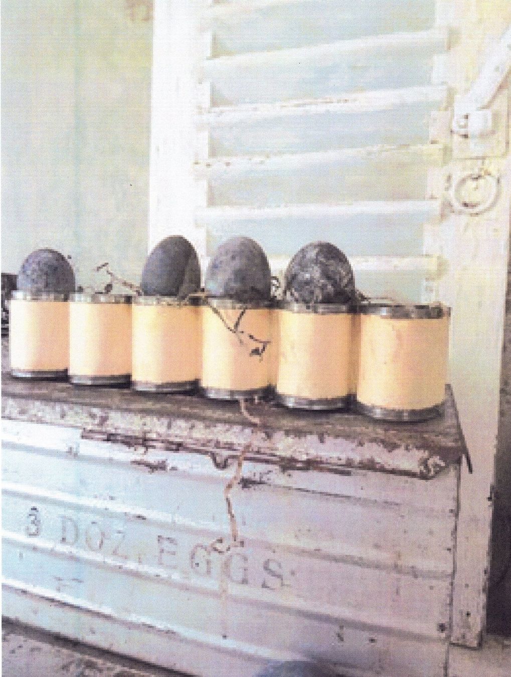 Tutte le decorazioni: antiker Transporteinsatz Eierkarton USA - Ostern – Usato da Camorino venduto da Campellino