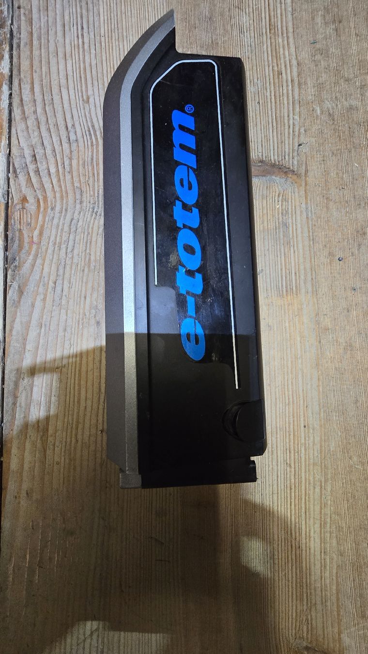 Totem Batterie: E-Totem Akku  – Usato da Lenzburg venduto da cameleoncolor 1