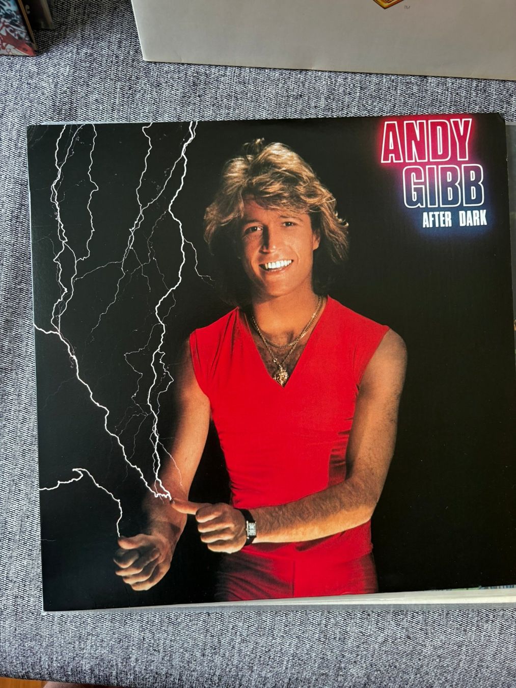 Schallplatten: Andy Gibb - After Dark - US - 1980 - RSO – Gebraucht aus Zofingen von Bigron