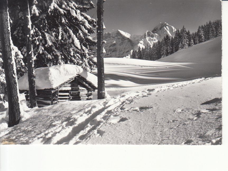 Cartoline postali: Adelboden Aebi 1962 – Usato da Bürglen TG venduto da StampGraf