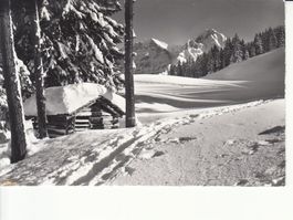 Adelboden Aebi 1962