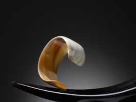 Armreif Horn, exklusives Unikat aus indischem Büffelhorn NEU