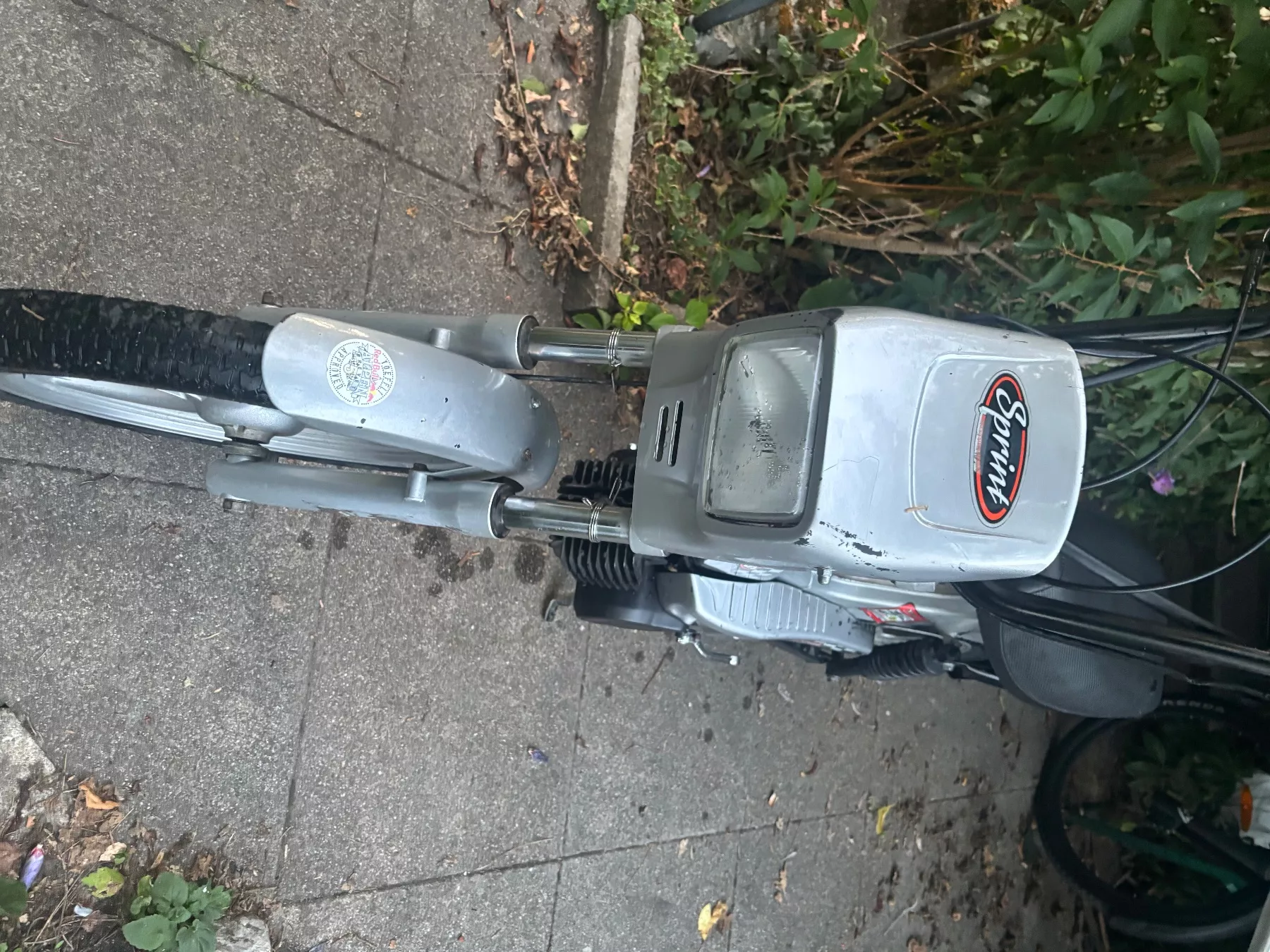 Tomos Ciclomotori: Tomos Sprint – Usato da Murten venduto da eli_nf7t 1