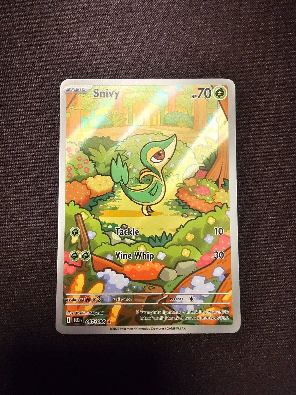 Pokémon Sammelbilder & Trading cards: Snivy EN 087/086 – Gebraucht aus Lufingen von Argannon