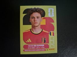 Panini WM 26 BEL 7