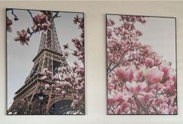 🌸Paris Eiffelturm Poster-Bilder Magnolien im Frühling!🌸