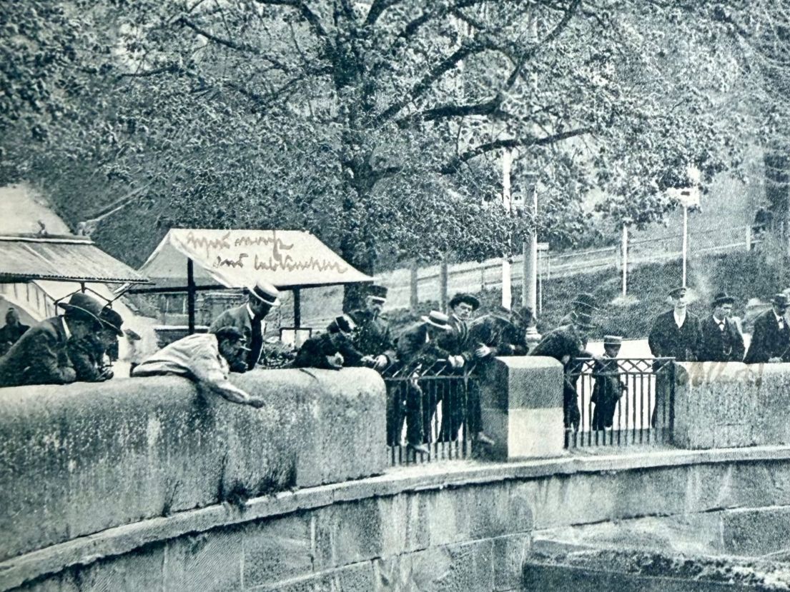Cartoline postali: Bern - Bärengraben - Animée 1903 – Usato da Lutry venduto da Ediego 1