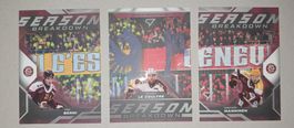 SportZoo Playoff, Season Breakdown, Genève-Servette HC