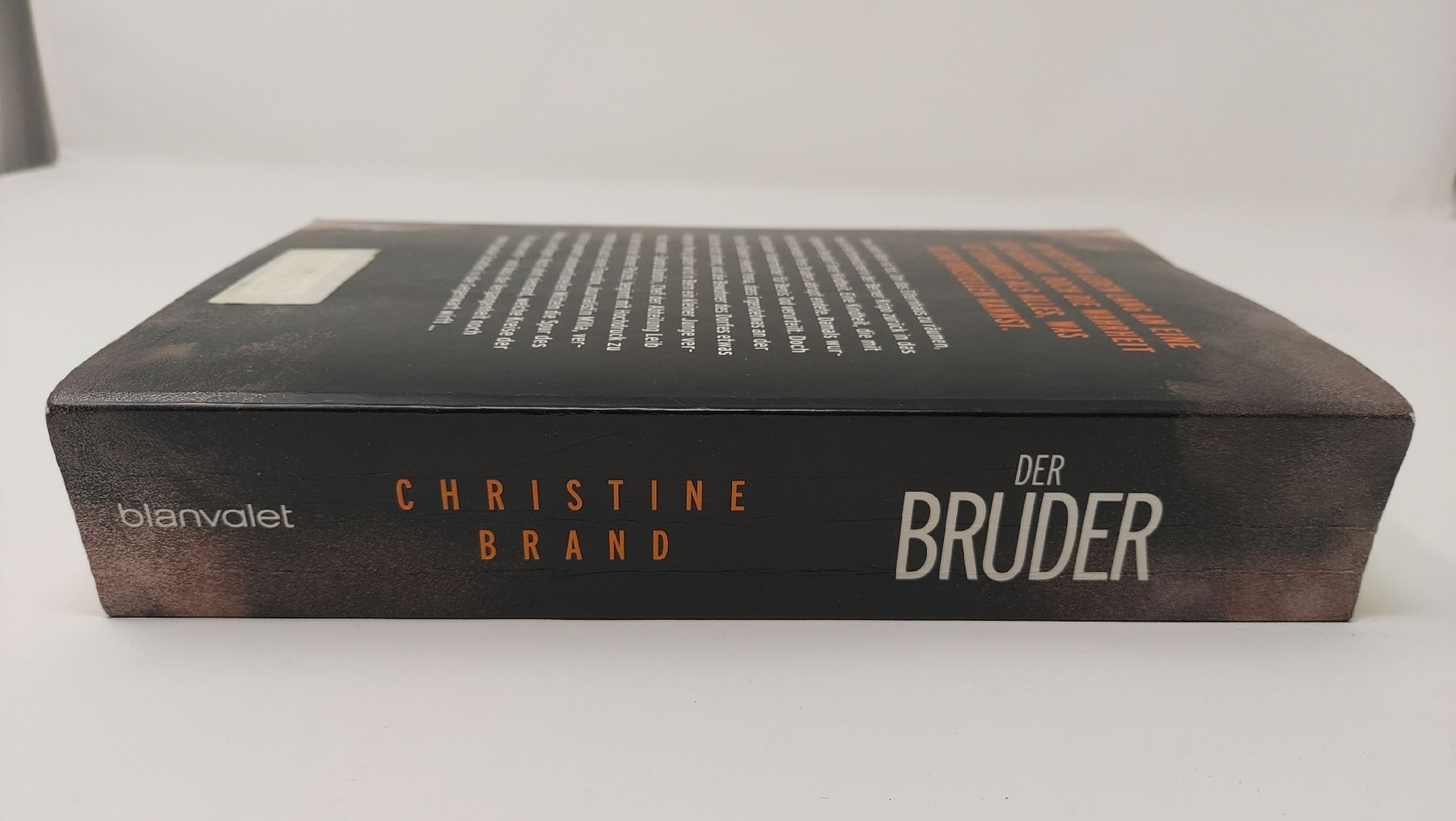Bücher: DER BRUDER Christine Brand – Gebraucht aus Meisterschwanden von phaus38 3