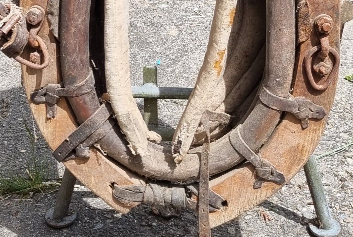 Briglie & Cavezze: Pferde-Kummet – Usato da Bergdietikon venduto da Gabo84 2