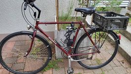 Mondia City Cross