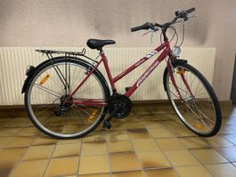 Vélo adulte, excellent état 