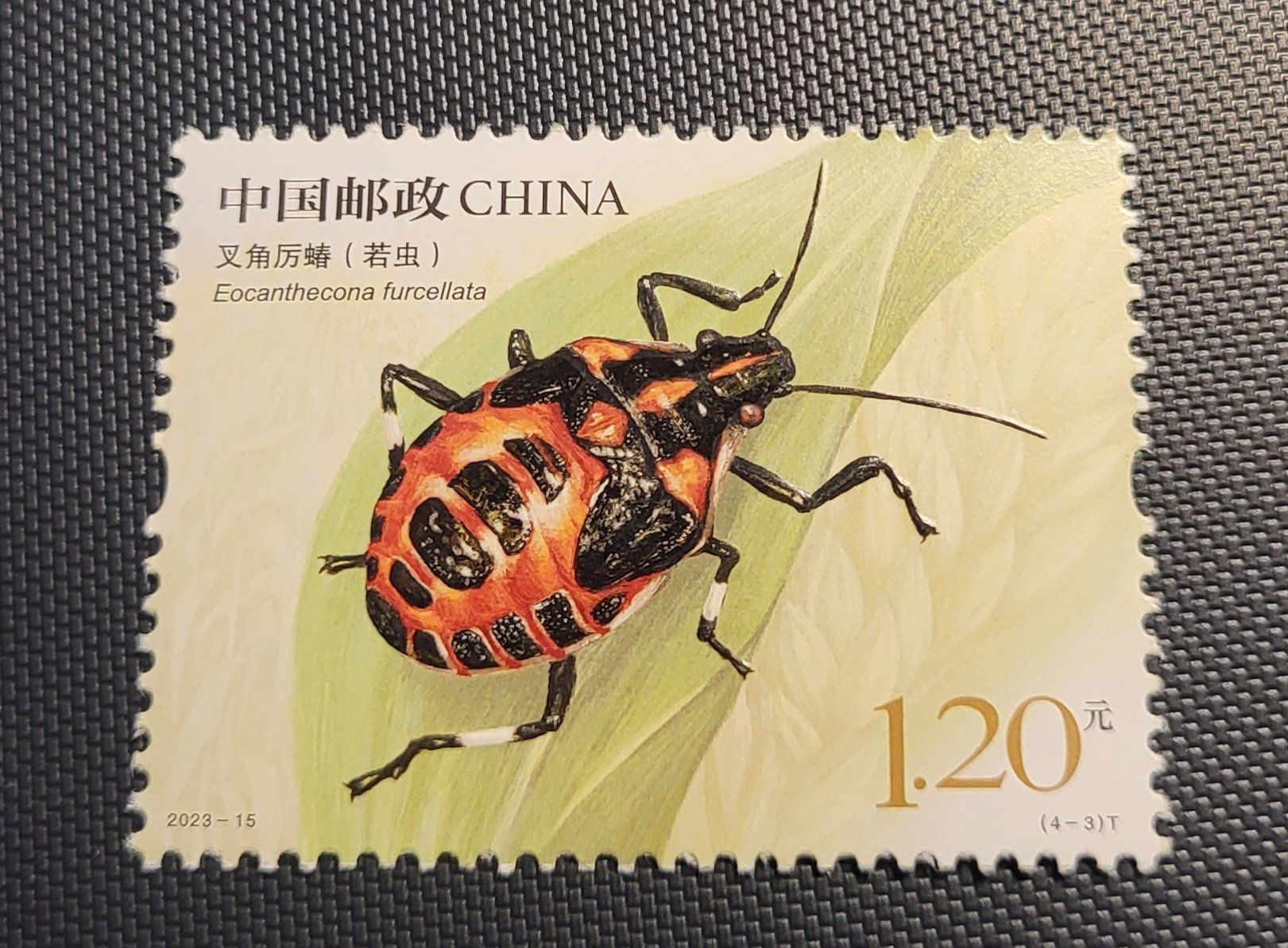 Tutti i francobolli: China 2023 briefmarke – Nuovo (secondo la descrizione) da St Gallen venduto da Stampsalshobby