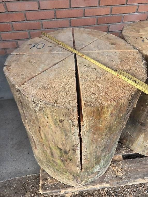 Articoli in legno: Finnenkerze XXL – Usato da Mettendorf TG venduto da 892421