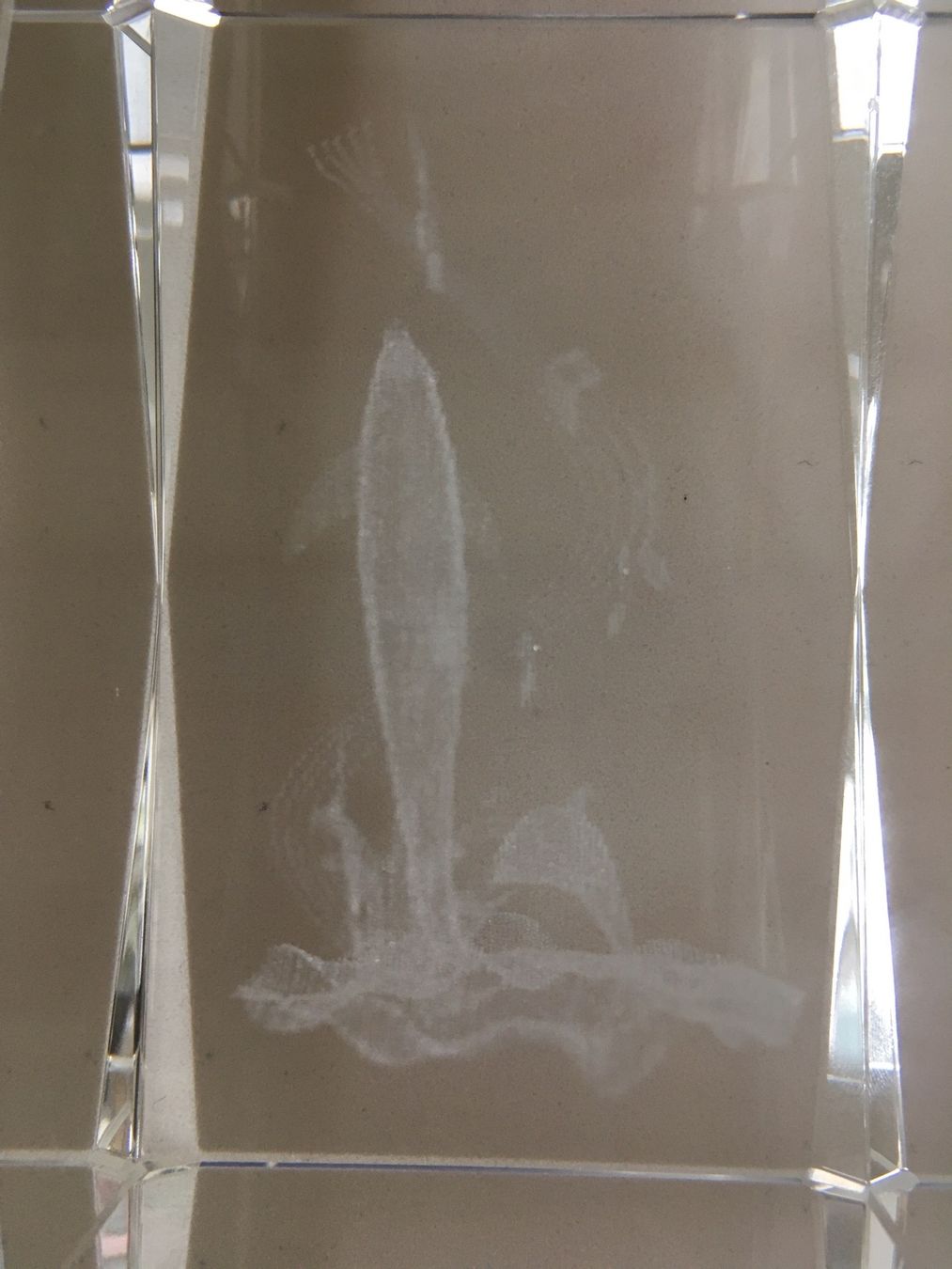 Bicchieri: 3D Glaswürfel Delfin – Usato da zürich venduto da Cf8000 2