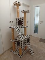 Katzenbaum