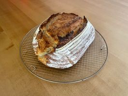 Frisch gebackenes Bio Sauerteig Brot in Wollishofen