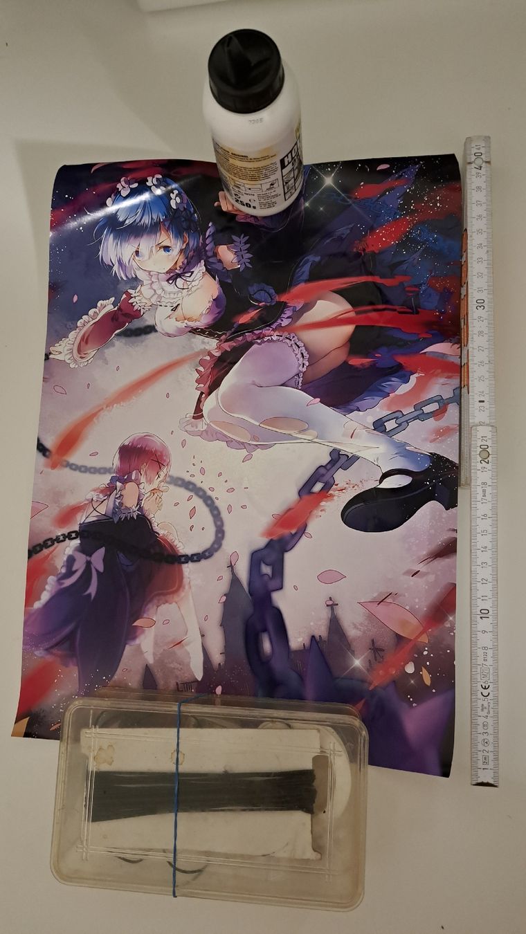 Foto & Immagini: Re:Zero Anime Poster – Usato da Waltenschwil venduto da Catlady