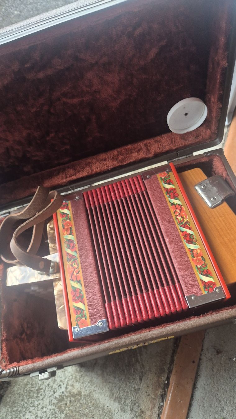 Strumenti musicali: Schweizerorgeli Rudolf Stalder – Usato da Rämismühle venduto da beni0010 1