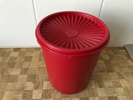 Tupperware      Dose mit Sonnendeckel